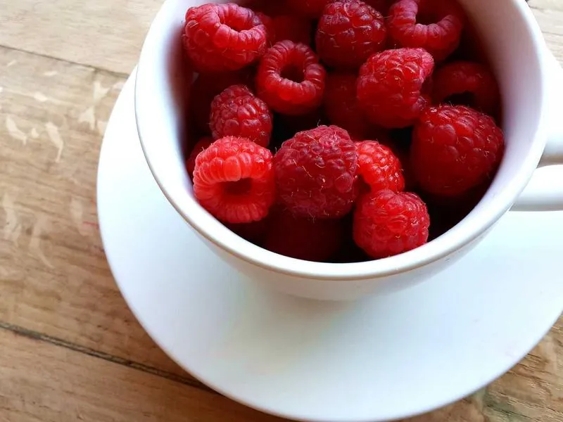 MPASI Homemade Frozen - Organik